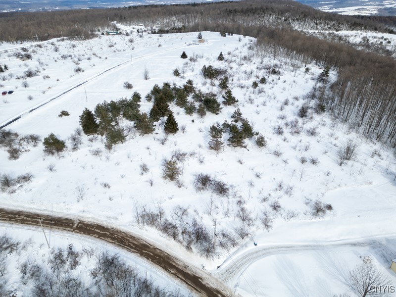 Cook Hill Road Newport, NY 13416 - Photo 2 of 8