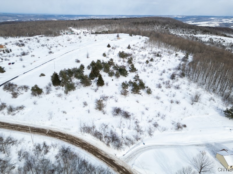 Cook Hill Road Newport, NY 13416 - Photo 3 of 8