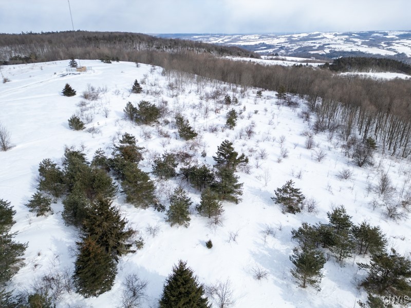 Cook Hill Road Newport, NY 13416 - Photo 6 of 8