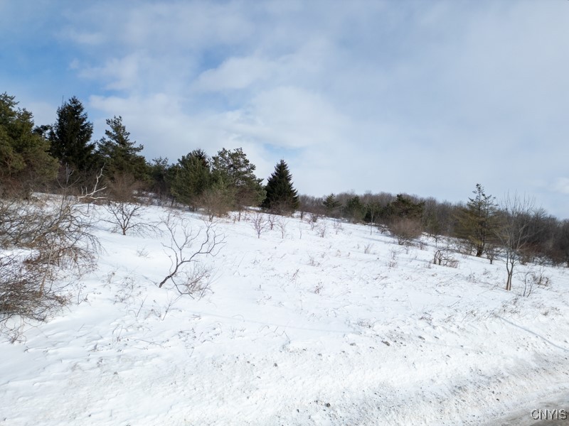 Cook Hill Road Newport, NY 13416 - Photo 7 of 8