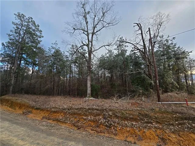 $40,000 | 0 C C Smith Road, Leesville, LA 71446
