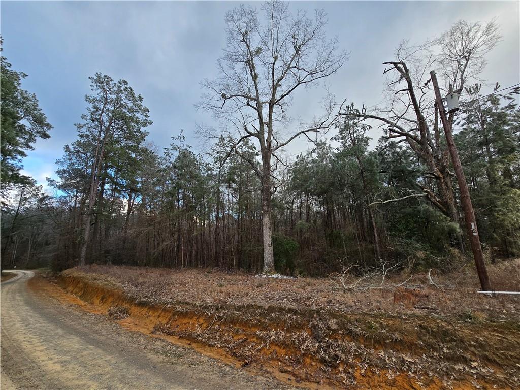 0 C C Smith Road Leesville, LA 71446 - Photo 2 of 5