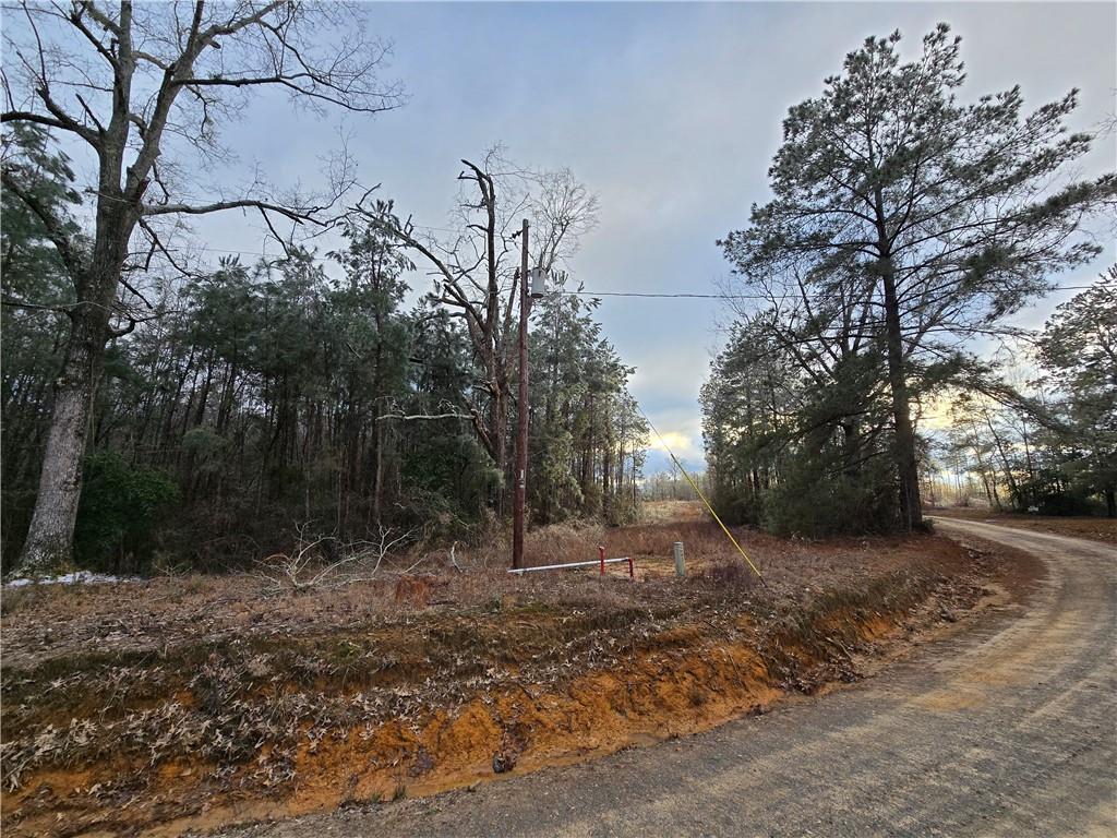 0 C C Smith Road Leesville, LA 71446 - Photo 3 of 5