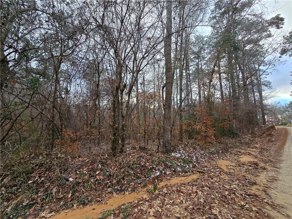 0 C C Smith Road Leesville, LA 71446 - Photo 5 of 5