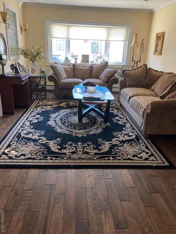a living room with furniture or couch and a rug