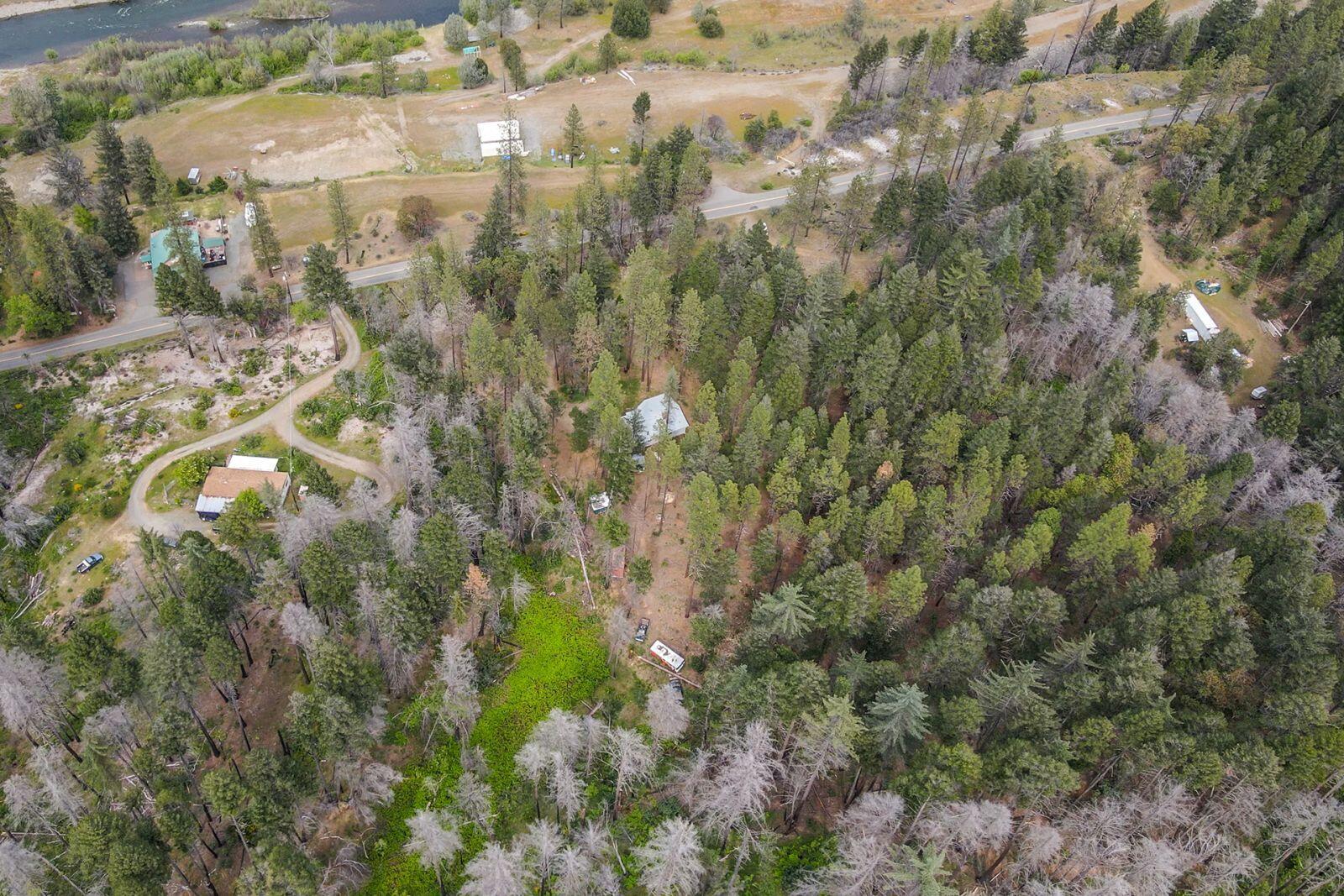 710 Dutch Creek Road Junction City, CA 96048 - Photo 14 of 38 a view of a forest with a yard