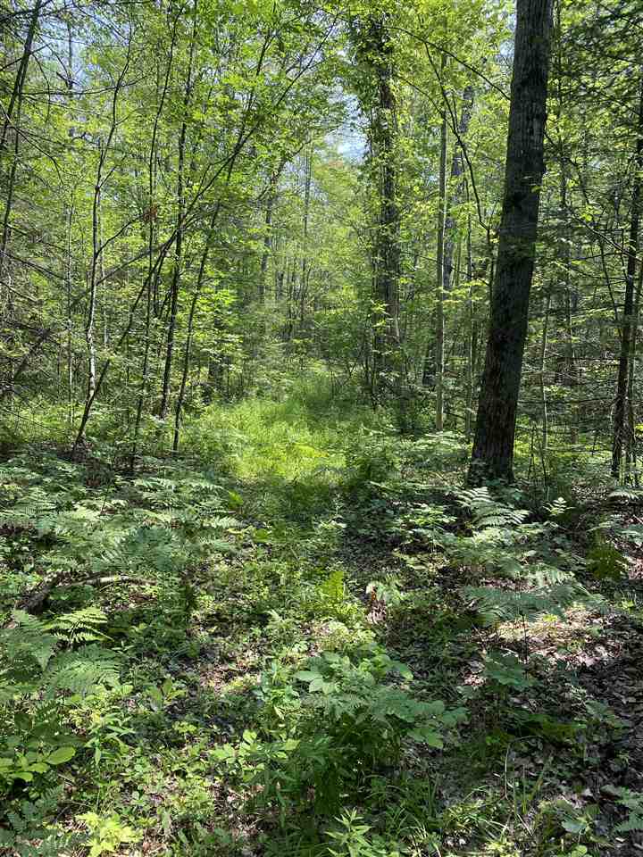 0 Briggs Road Omer, MI 48749 - Photo 33 of 45