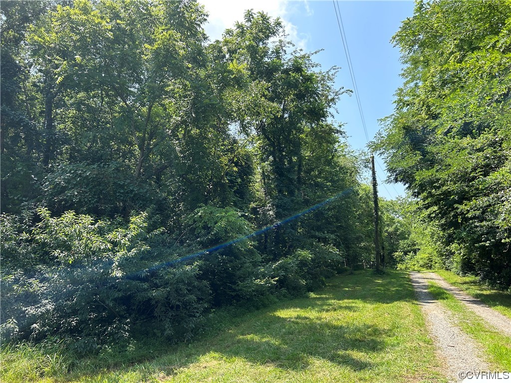 0 Whitehall Road Sandy Hook, VA 23153 - Photo 11 of 16 a view of yard
