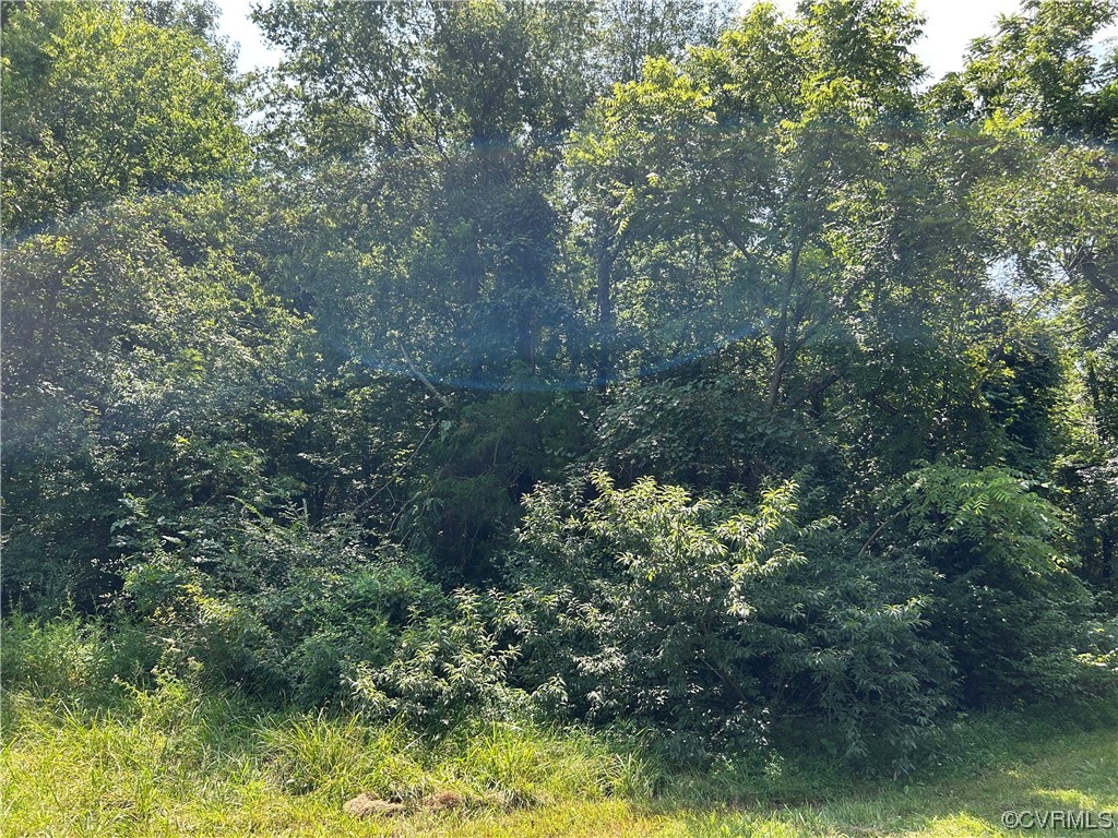 0 Whitehall Road Sandy Hook, VA 23153 - Photo 12 of 16 a view of a garden