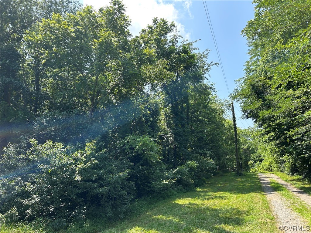 0 Whitehall Road Sandy Hook, VA 23153 - Photo 13 of 16 a view of a yard with a tree