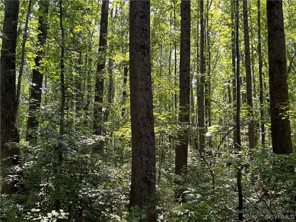 0 Whitehall Road Sandy Hook, VA 23153 - Photo 15 of 16