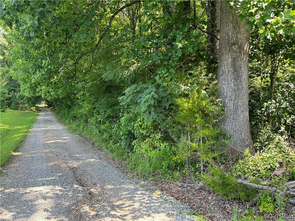 0 Whitehall Road Sandy Hook, VA 23153 - Photo 6 of 16 a view of a yard with plants and a trees
