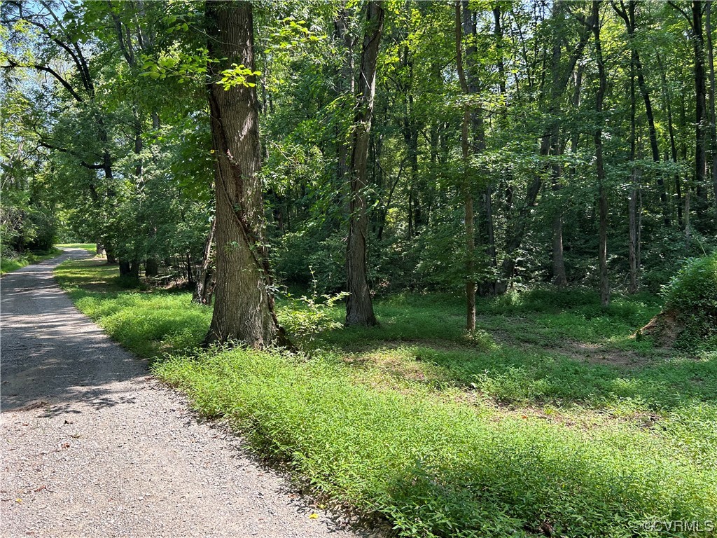 0 Whitehall Road Sandy Hook, VA 23153 - Photo 7 of 16 a view of a garden with a tree