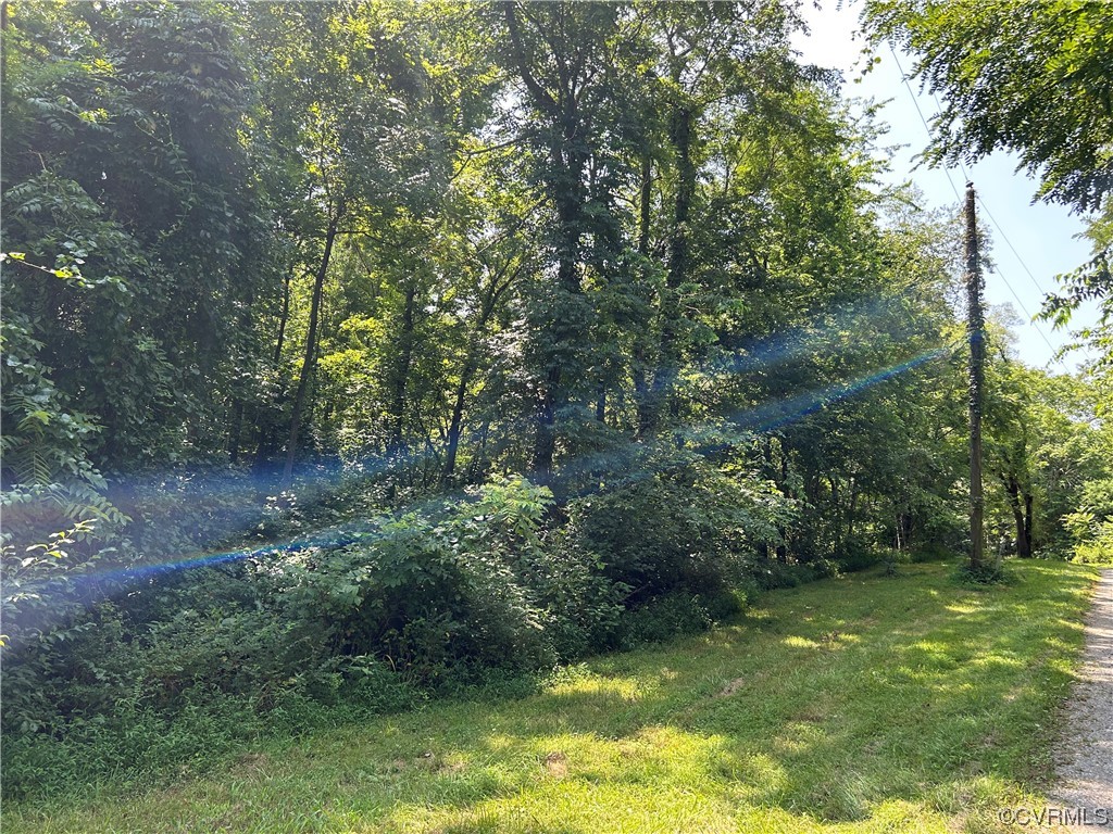 0 Whitehall Road Sandy Hook, VA 23153 - Photo 10 of 16 a backyard of a house with lots of green space