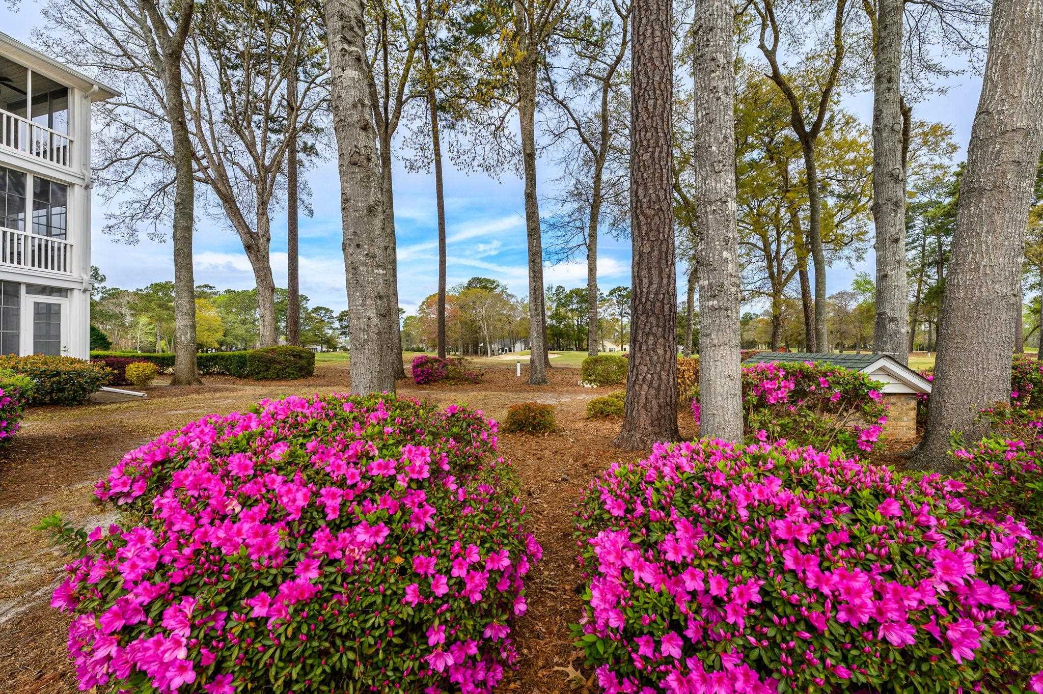 4429 Turtle Lane, Unit 1C Little River, SC 29566 - Photo 26 of 45