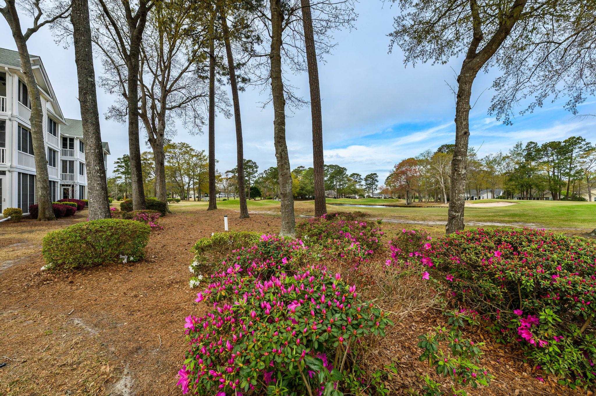 4429 Turtle Lane, Unit 1C Little River, SC 29566 - Photo 27 of 45
