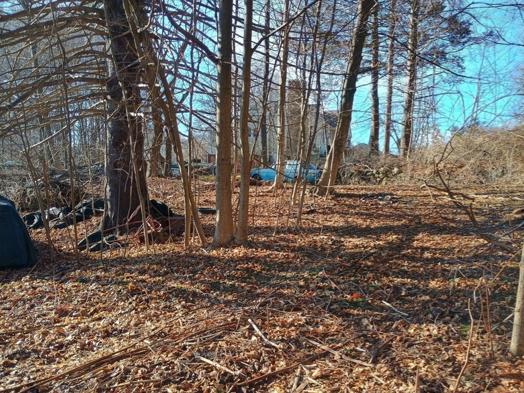 9 Olive Street Ashland, MA 01721 - Photo 30 of 34