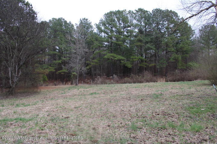 236 Indian Creek Road Crenshaw, MS 38621 - Photo 11 of 19 236 INDIAN CREEK - LAND 3