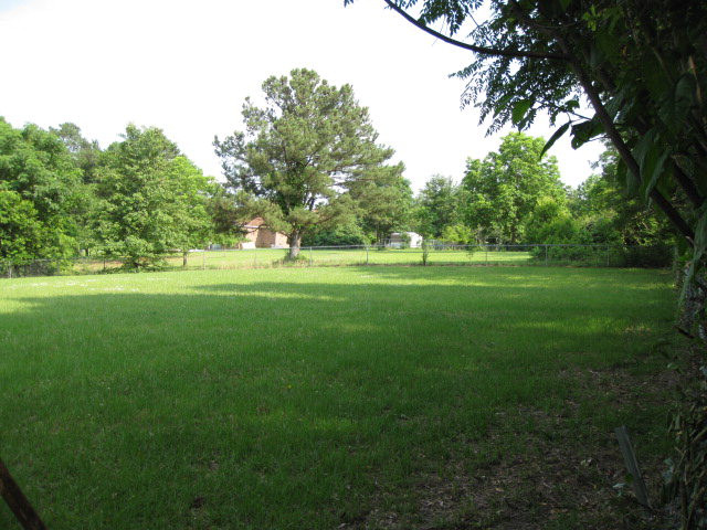 4900 Wrightsboro Road Grovetown, GA 30813 - Photo 5 of 10 Rear Yard