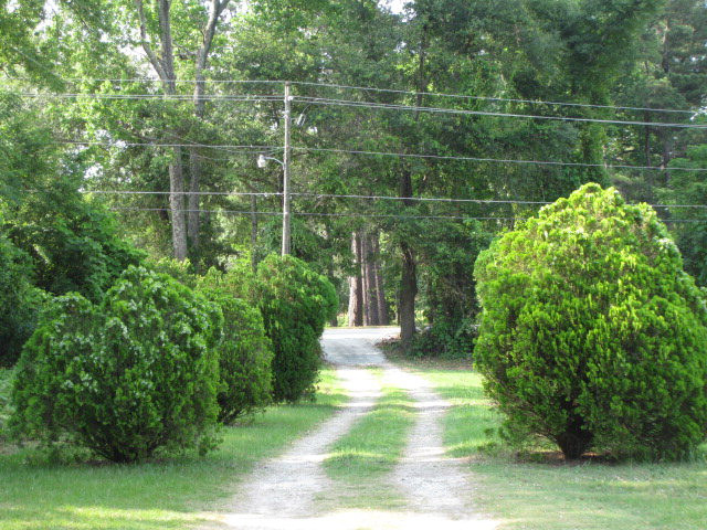4900 Wrightsboro Road Grovetown, GA 30813 - Photo 8 of 10 Towards Road
