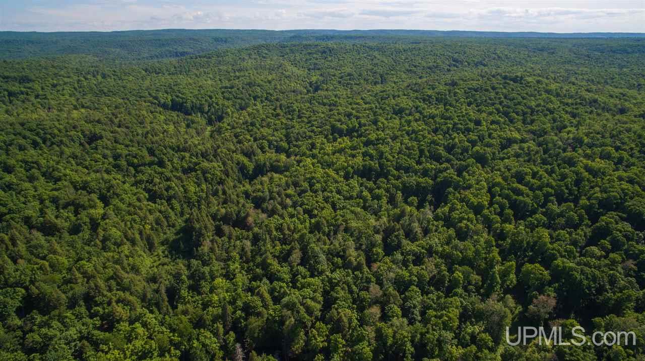 N2025 Co Road Marquette, MI 49855 - Photo 25 of 48