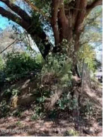 $18,500 | 57 East Oak Street, Natchez, MS 39120