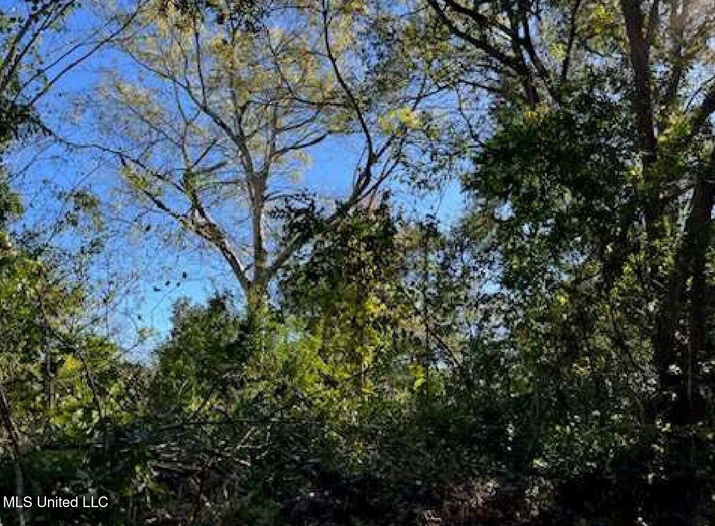 57 East Oak Street Natchez, MS 39120 - Photo 3 of 4 Pic13