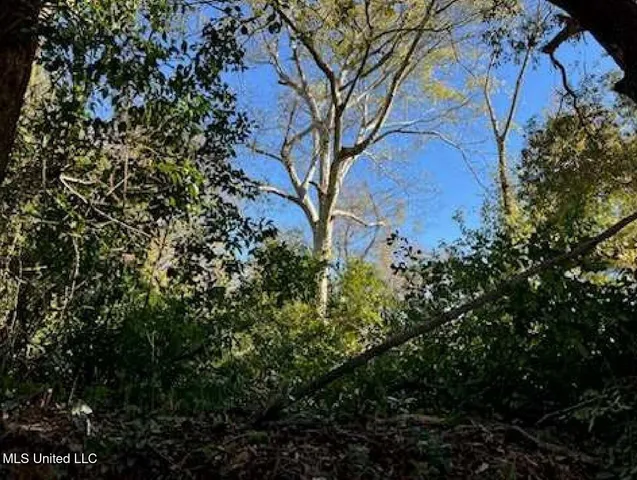 $12,500 | 57 East Oak Street, Natchez, MS 39120