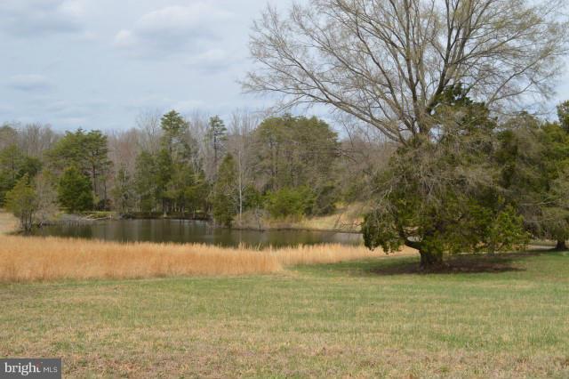 4407 Dumfries Road Catlett, VA 20119 - Photo 21 of 30 Pond #1