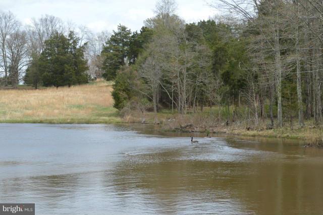 4407 Dumfries Road Catlett, VA 20119 - Photo 24 of 30 Pond #2