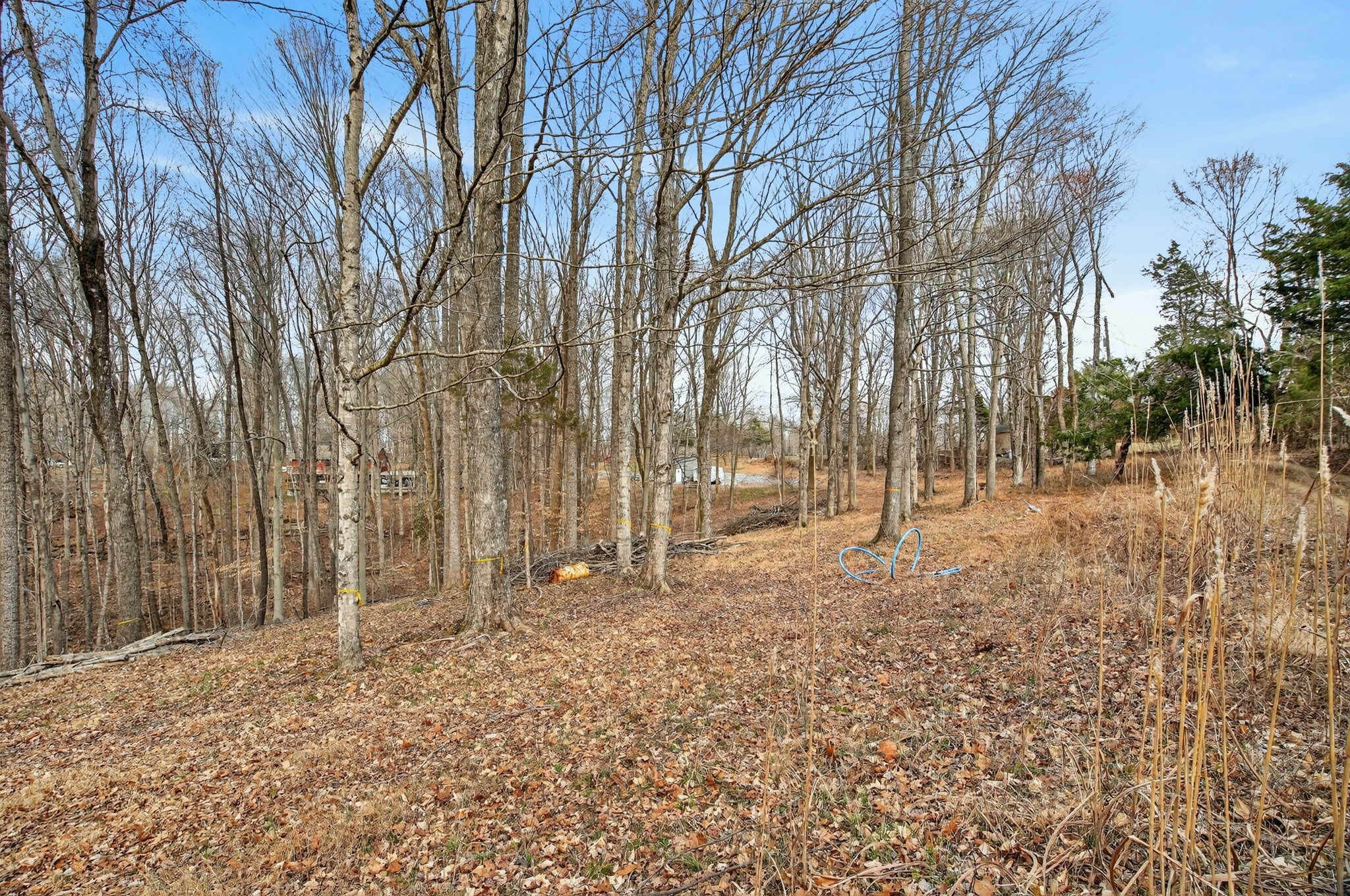 6169 Huffman Road Goodlettsville, TN 37072 - Photo 27 of 28 Gallery Image 27