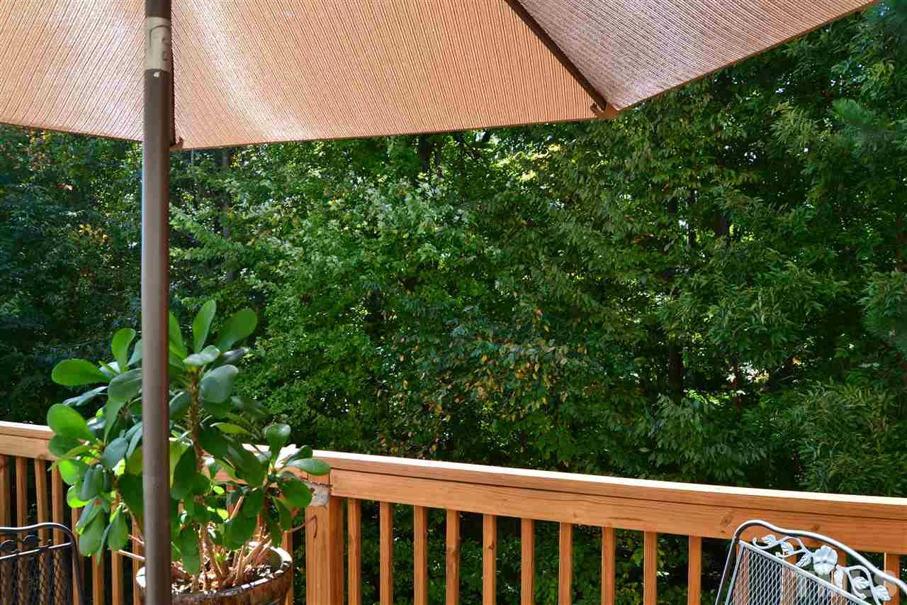 4725 Mifflin Street Raleigh, NC 27612 - Photo 22 of 25 Private back yard view backing to woods.