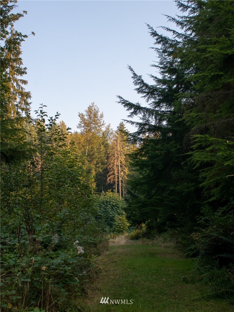 5341 Tolt Highlands Road Northeast Carnation, WA 98014 - Photo 9 of 19 Gallery Image 9