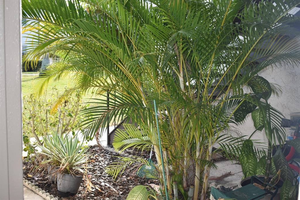 7701 Starkey Road, Unit 313 Seminole, FL 33777 - Photo 35 of 58