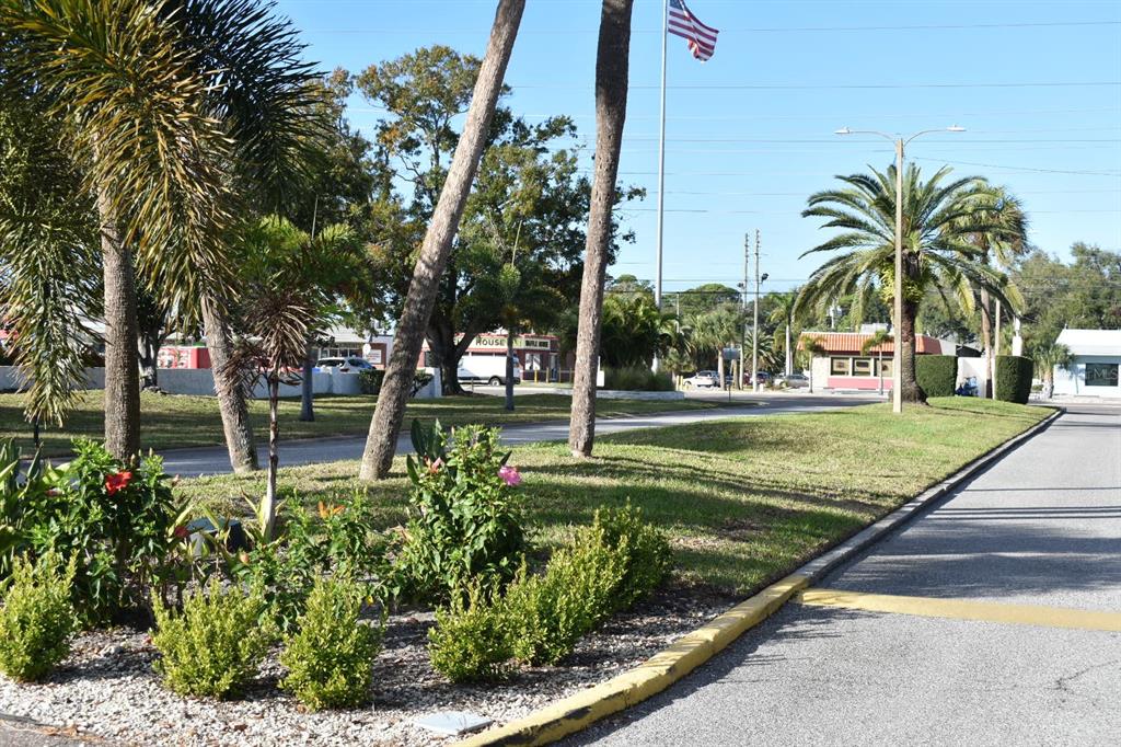 7701 Starkey Road, Unit 313 Seminole, FL 33777 - Photo 45 of 58