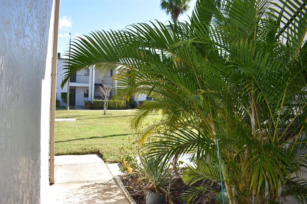 7701 Starkey Road, Unit 313 Seminole, FL 33777 - Photo 47 of 58