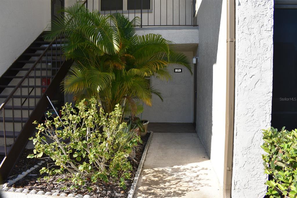 7701 Starkey Road, Unit 313 Seminole, FL 33777 - Photo 48 of 58