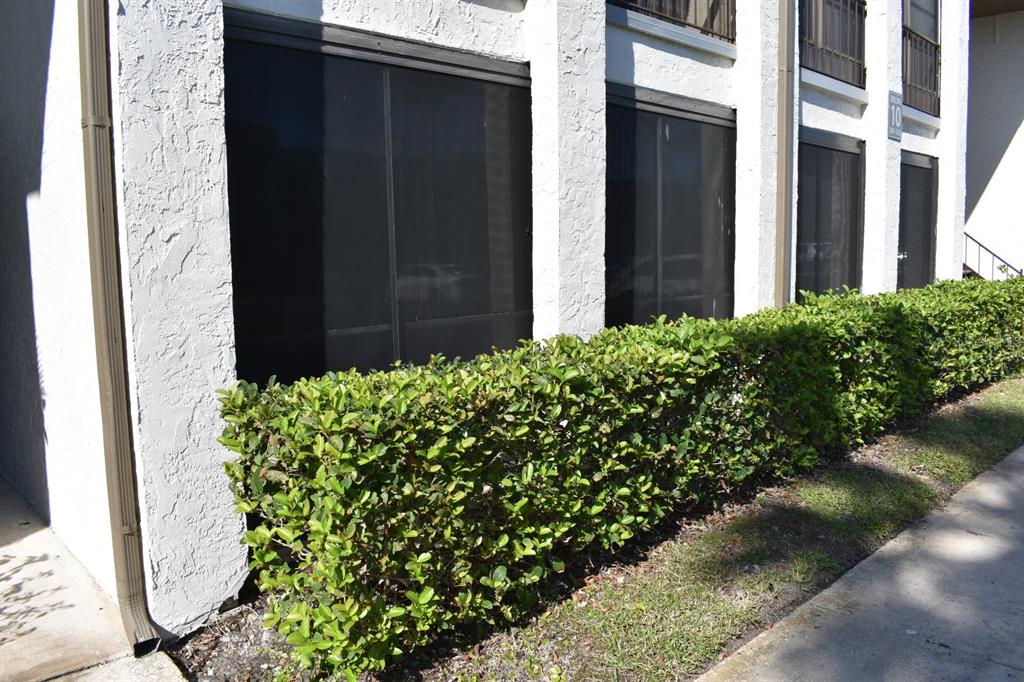 7701 Starkey Road, Unit 313 Seminole, FL 33777 - Photo 52 of 58