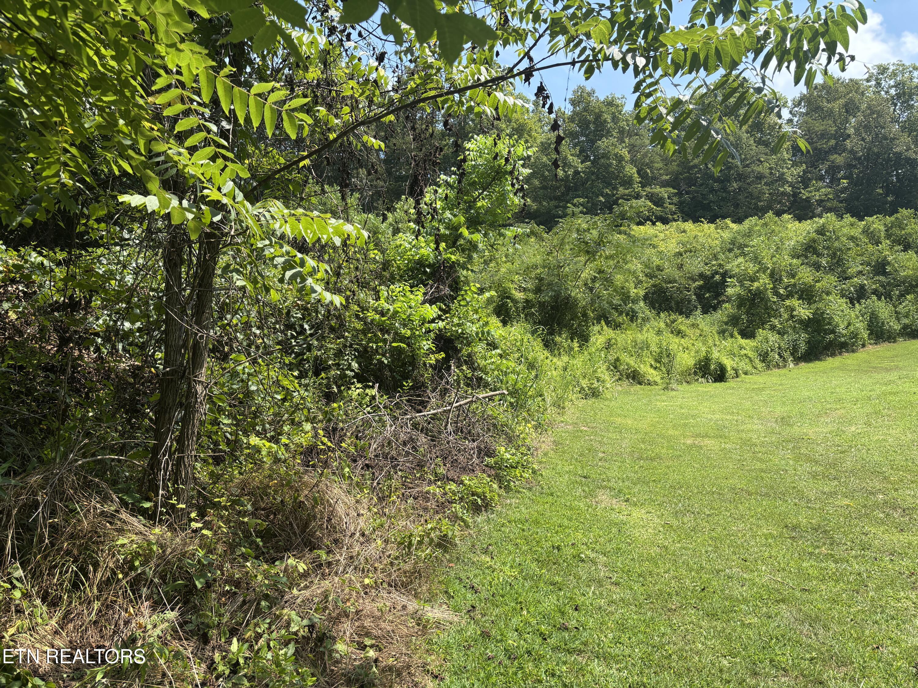 670 Apple Valley Road Sevierville, TN 37862 - Photo 17 of 26 IMG_5371