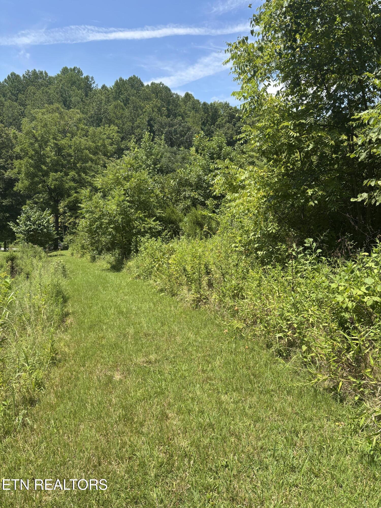 670 Apple Valley Road Sevierville, TN 37862 - Photo 21 of 26 IMG_5378