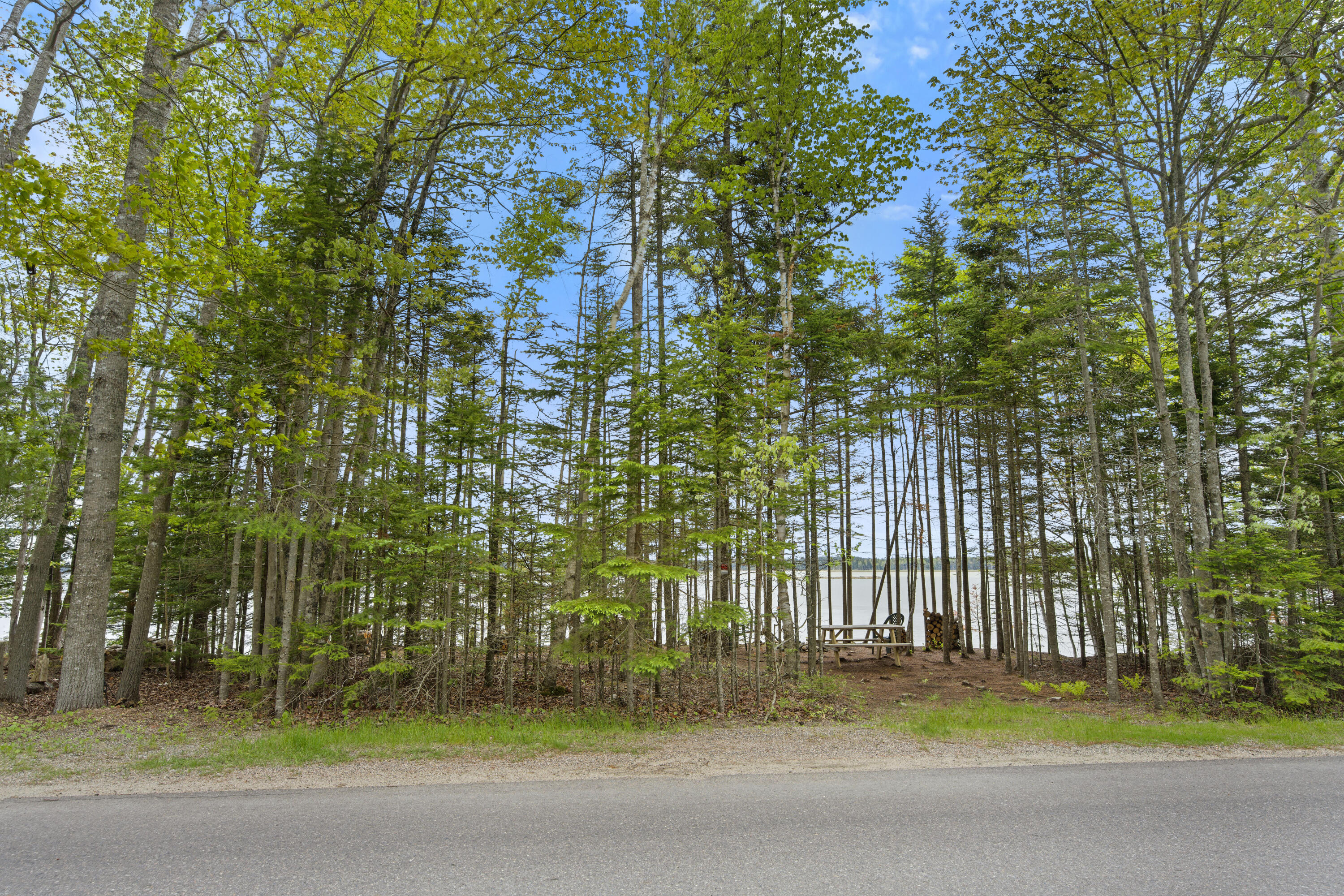 Lot 178 Rays Point Road Milbridge, ME 04658 - Photo 30 of 30 DSC_5725