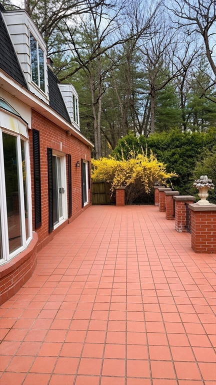 12 Woodland Road Westfield, MA 01085 - Photo 7 of 29 a view of backyard with large trees