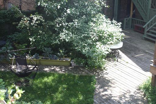 Undisclosed Address Chicago, IL 60642 - Photo 5 of 16 a view of a lake with a tree