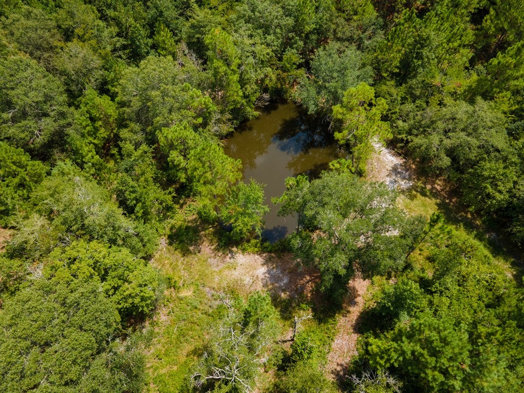 2128 Old Coffee Road Barney, GA 31625 - Photo 10 of 41 Gallery Image 10