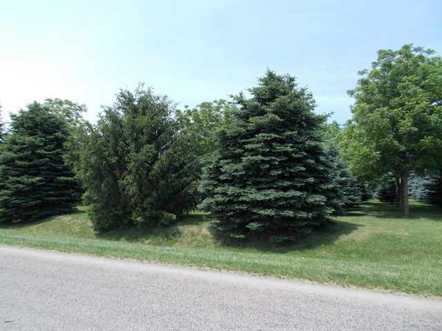 Lot 29 North 14th Road Lostant, IL 61334 - Photo 1 of 4 Gallery Image 1