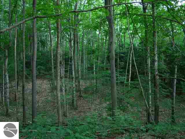 4888 South Wheeler Road Maple City, MI 49664 - Photo 10 of 18 1737925-9.JPG