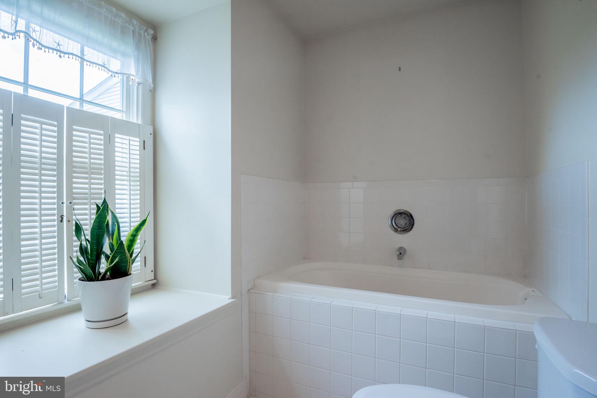 30 Scotch Pine Road Newark, DE 19711 - Photo 19 of 32 Tub with Jets
