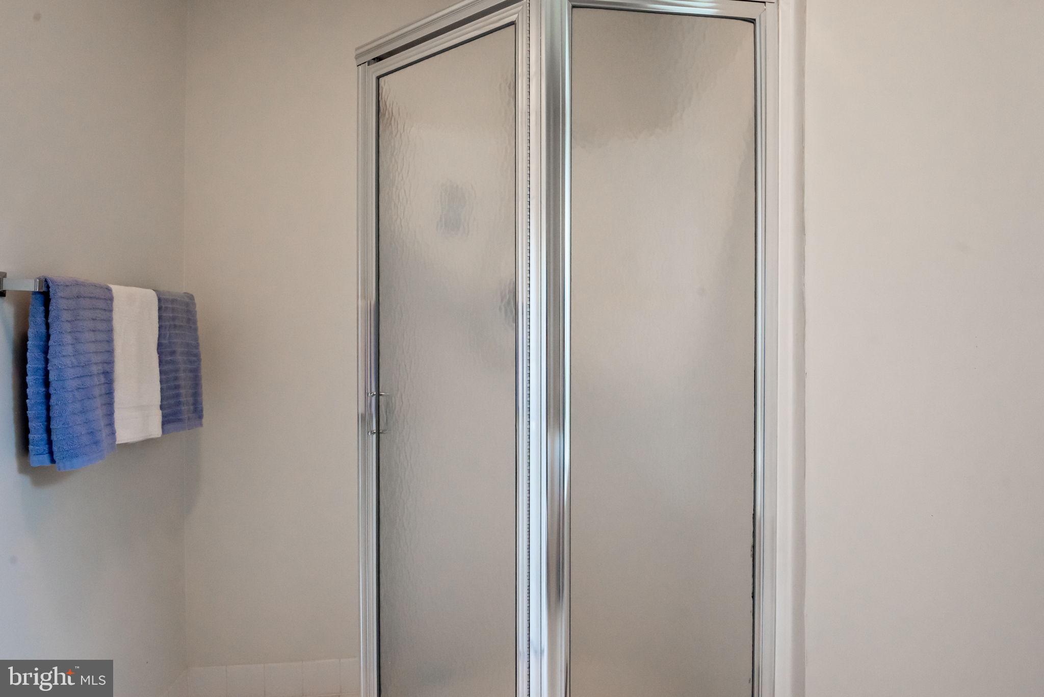 30 Scotch Pine Road Newark, DE 19711 - Photo 20 of 32 Shower