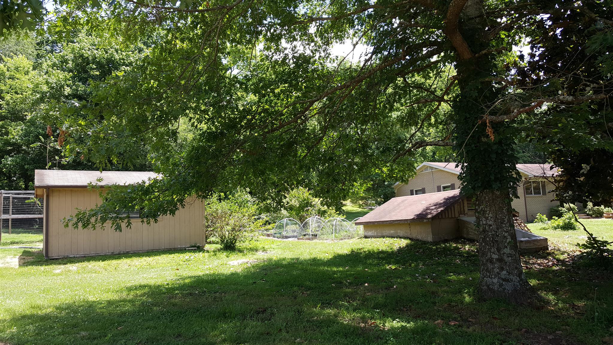 1232 Cliff Amos Road Spring Hill, TN 37174 - Photo 3 of 23 a view of a back yard
