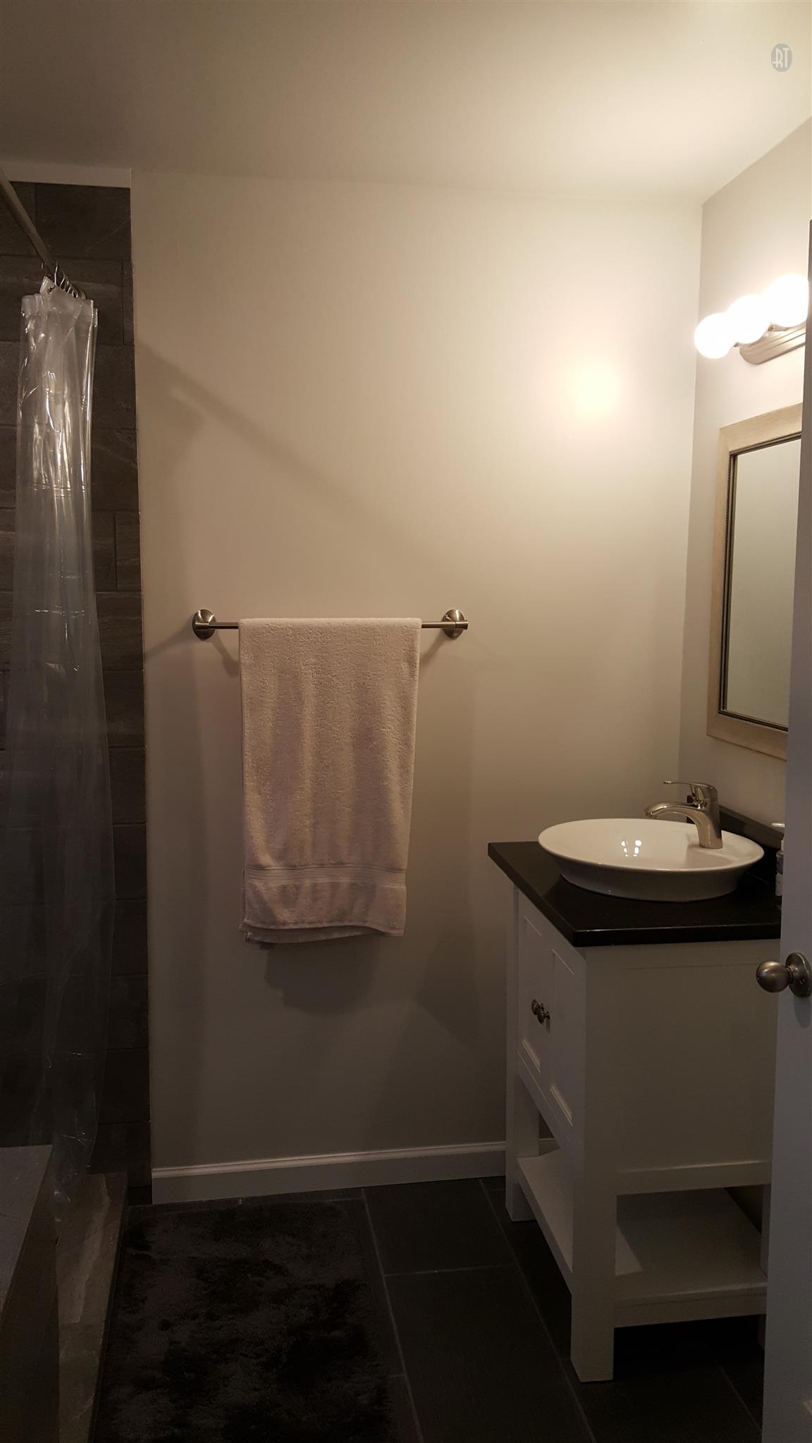 1232 Cliff Amos Road Spring Hill, TN 37174 - Photo 9 of 23 a bathroom with a sink and mirror